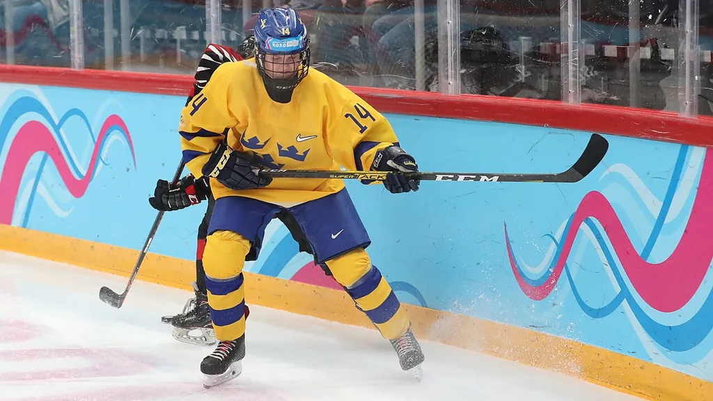 Chur 1-6 Schwenninger Wild Wings: Dominant display from German visitors in Chur pre-season friendly