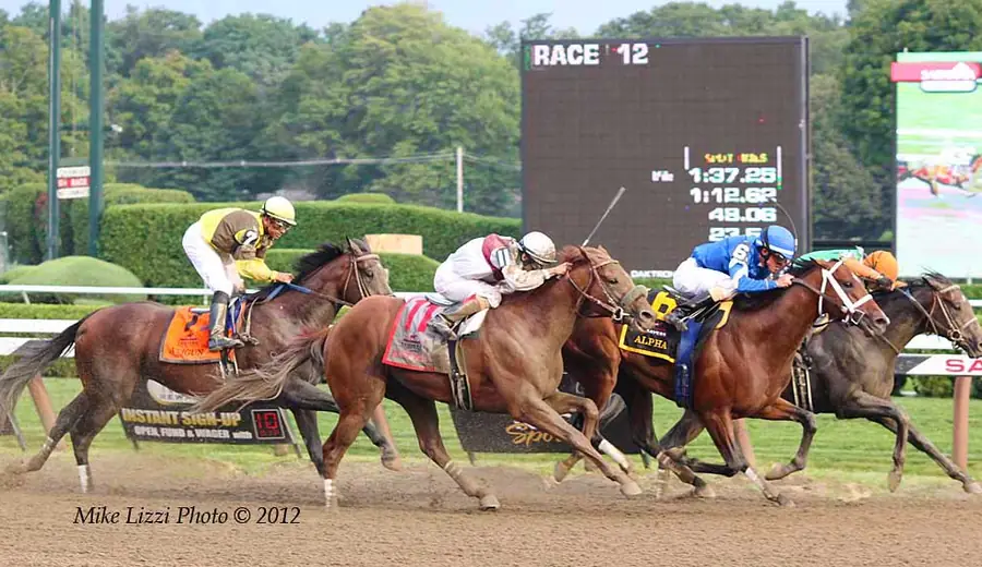 Dead Heat Calculator — Free Horse Racing Dead Heat Calculator | Betmana